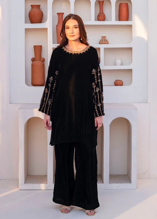 01254- Velvet Embroidered Suit