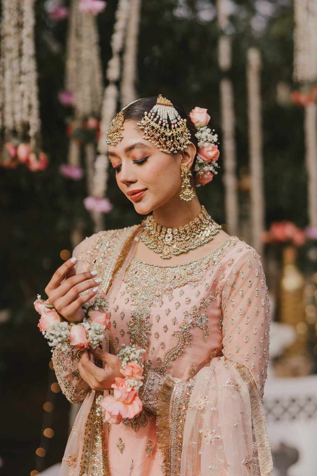 Haani