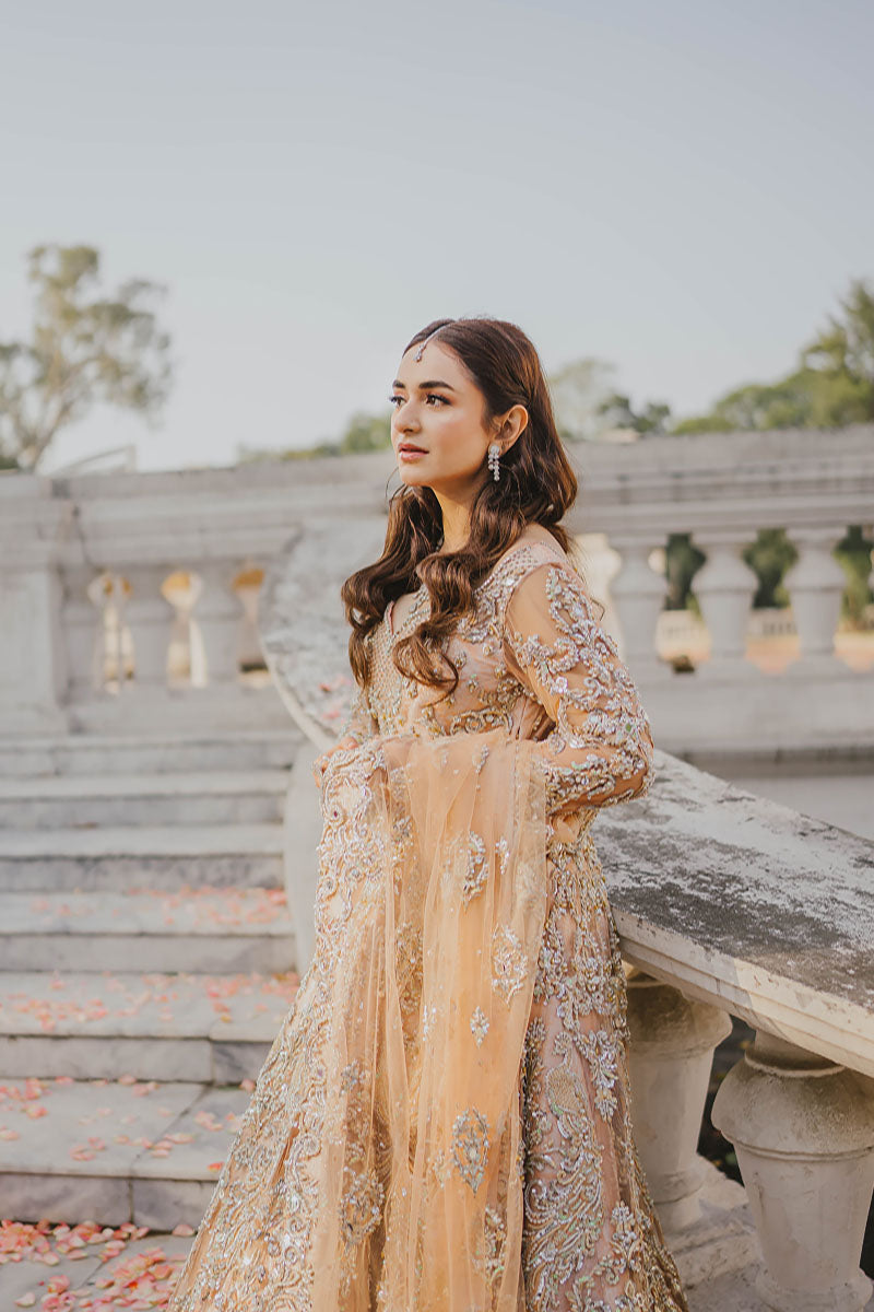 Maan Mayal