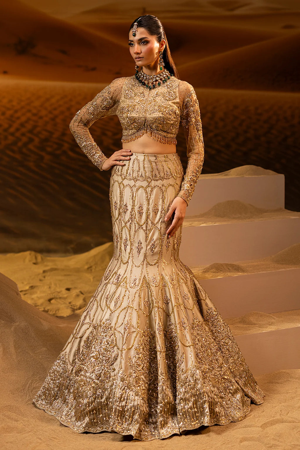 Mermaid Lehnga Choli