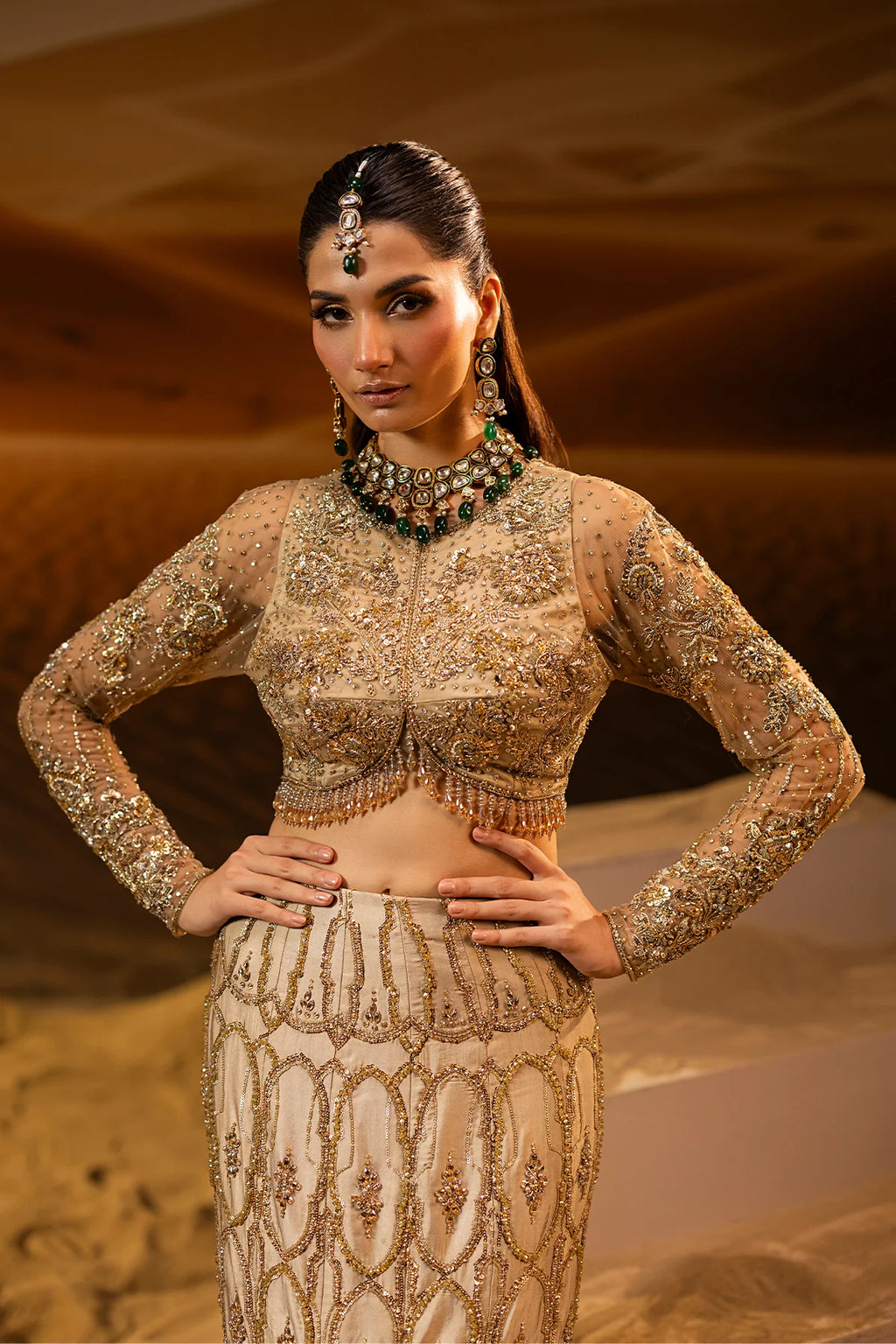Mermaid Lehnga Choli