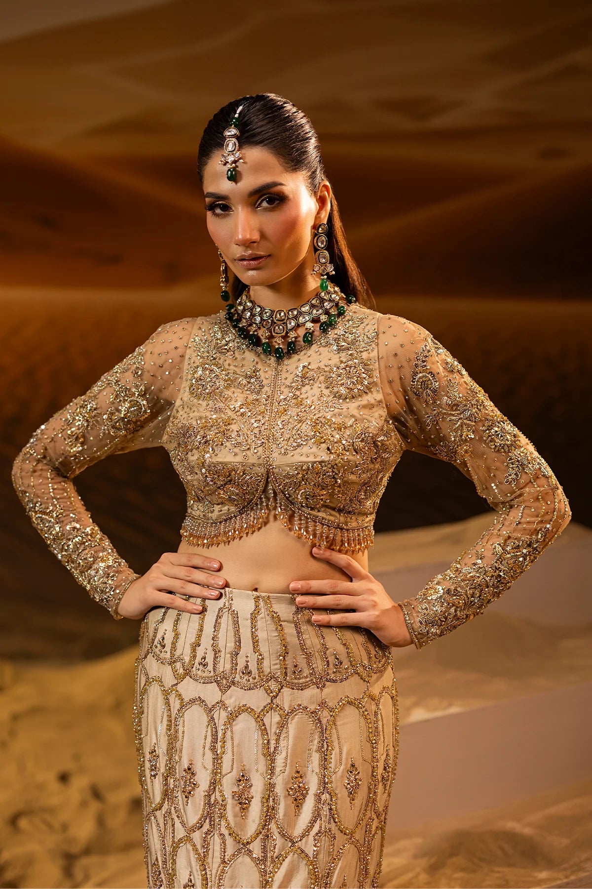 Mermaid Lehnga Choli