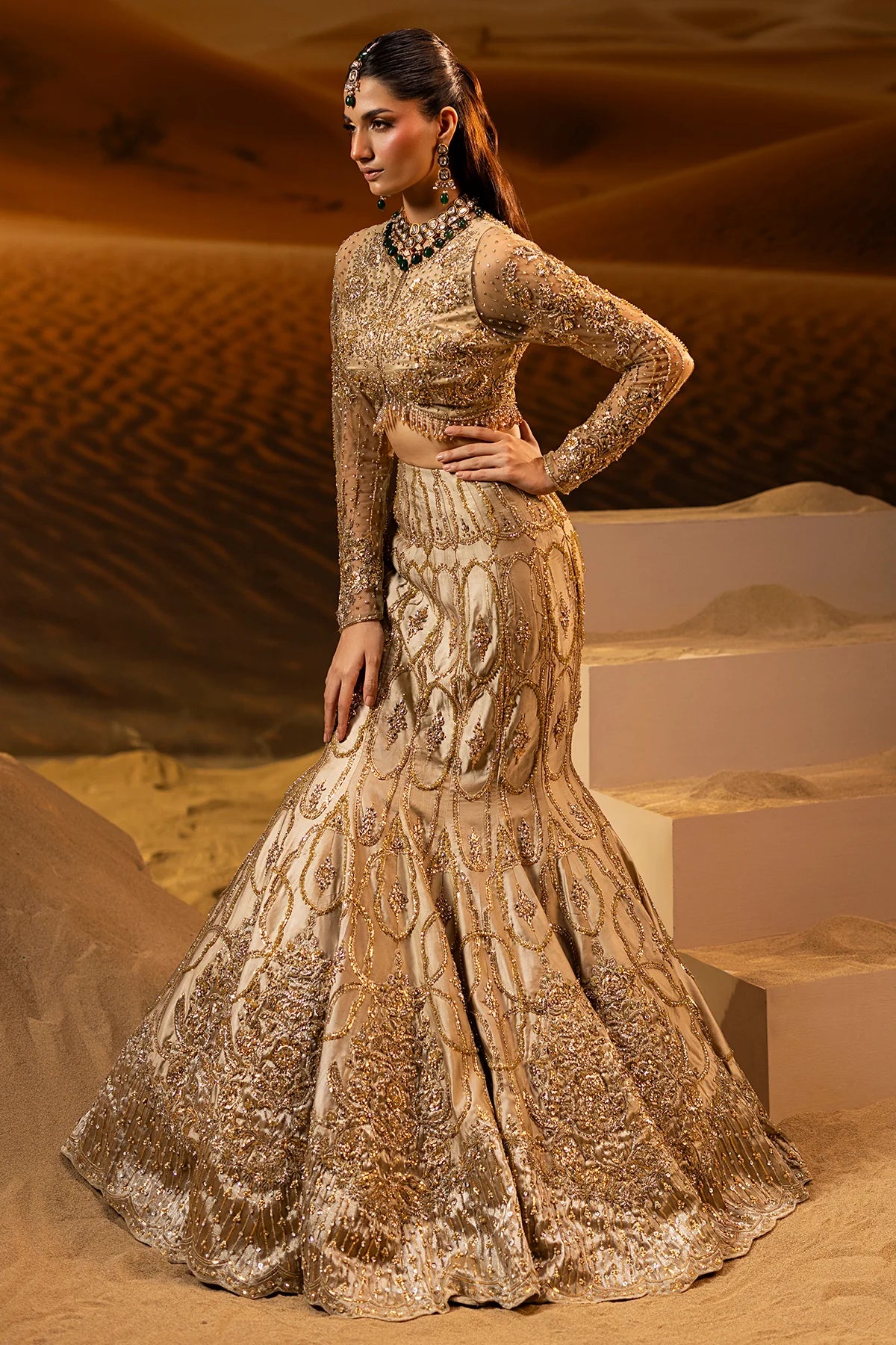 Mermaid Lehnga Choli