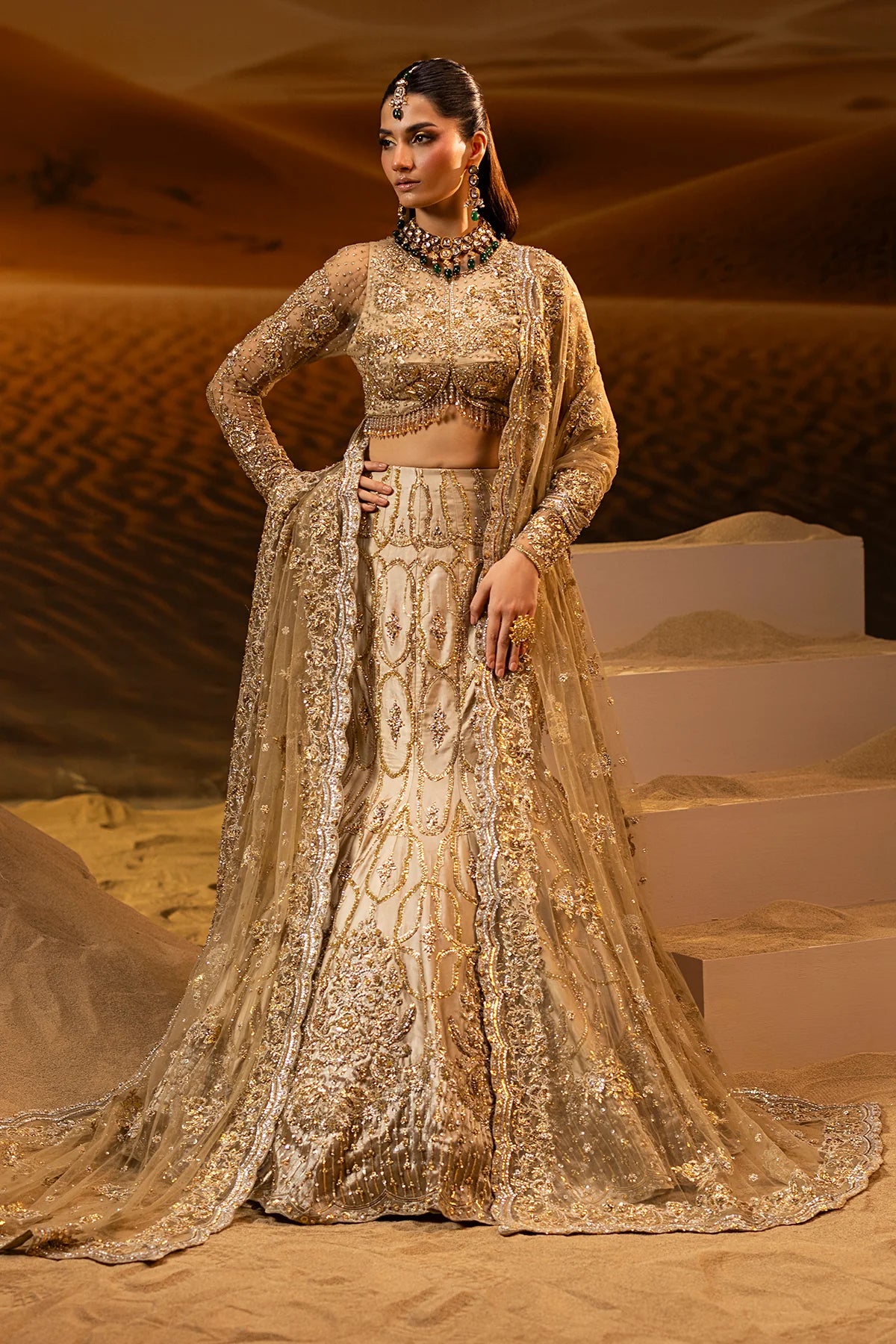 Mermaid Lehnga Choli