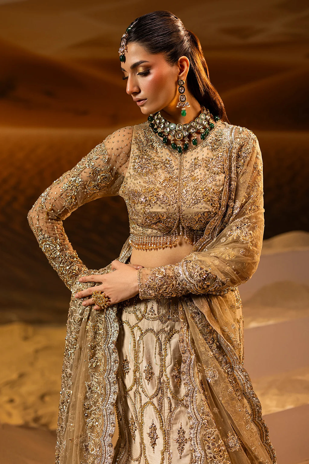 Mermaid Lehnga Choli
