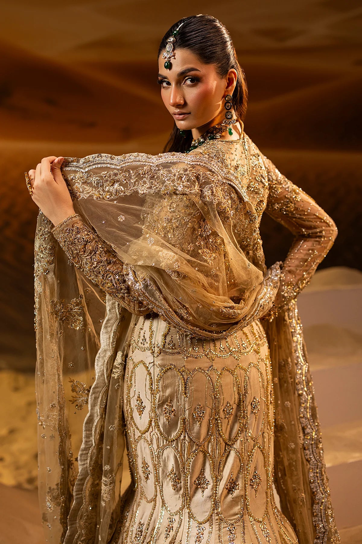 Mermaid Lehnga Choli