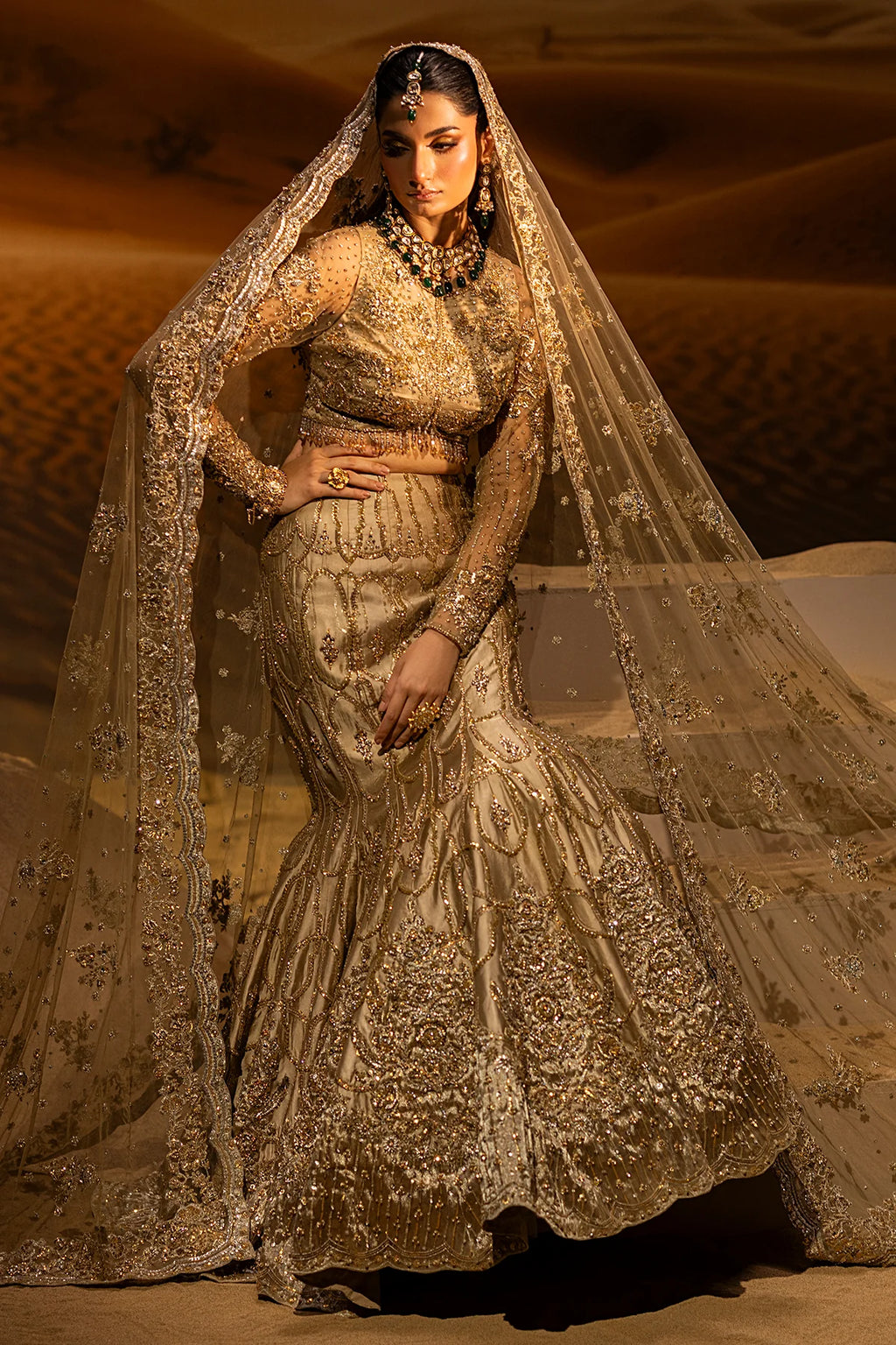 Mermaid Lehnga Choli