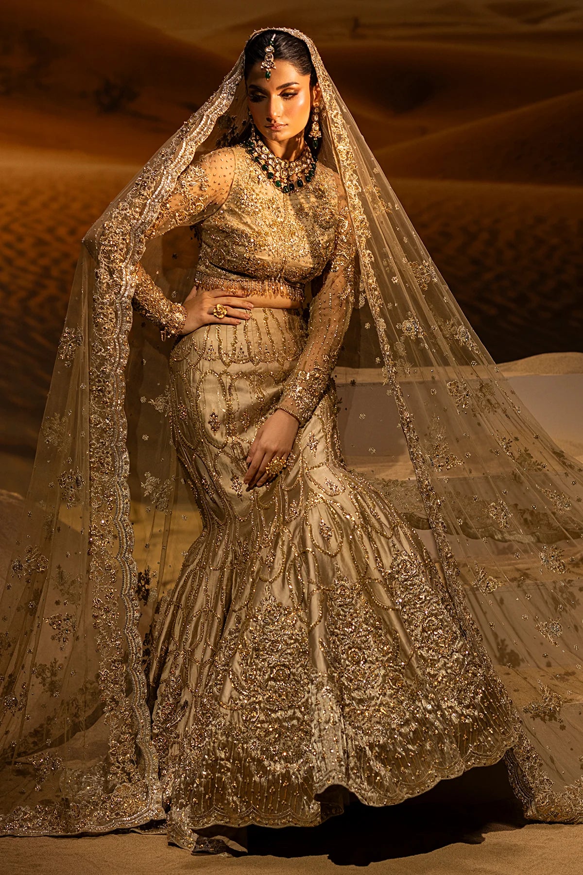 Mermaid Lehnga Choli