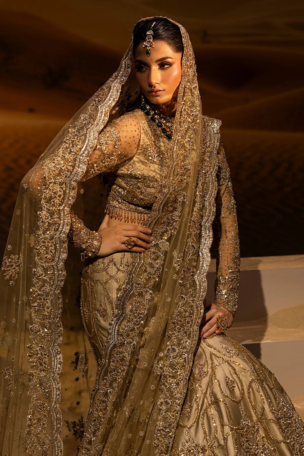 Mermaid Lehnga Choli