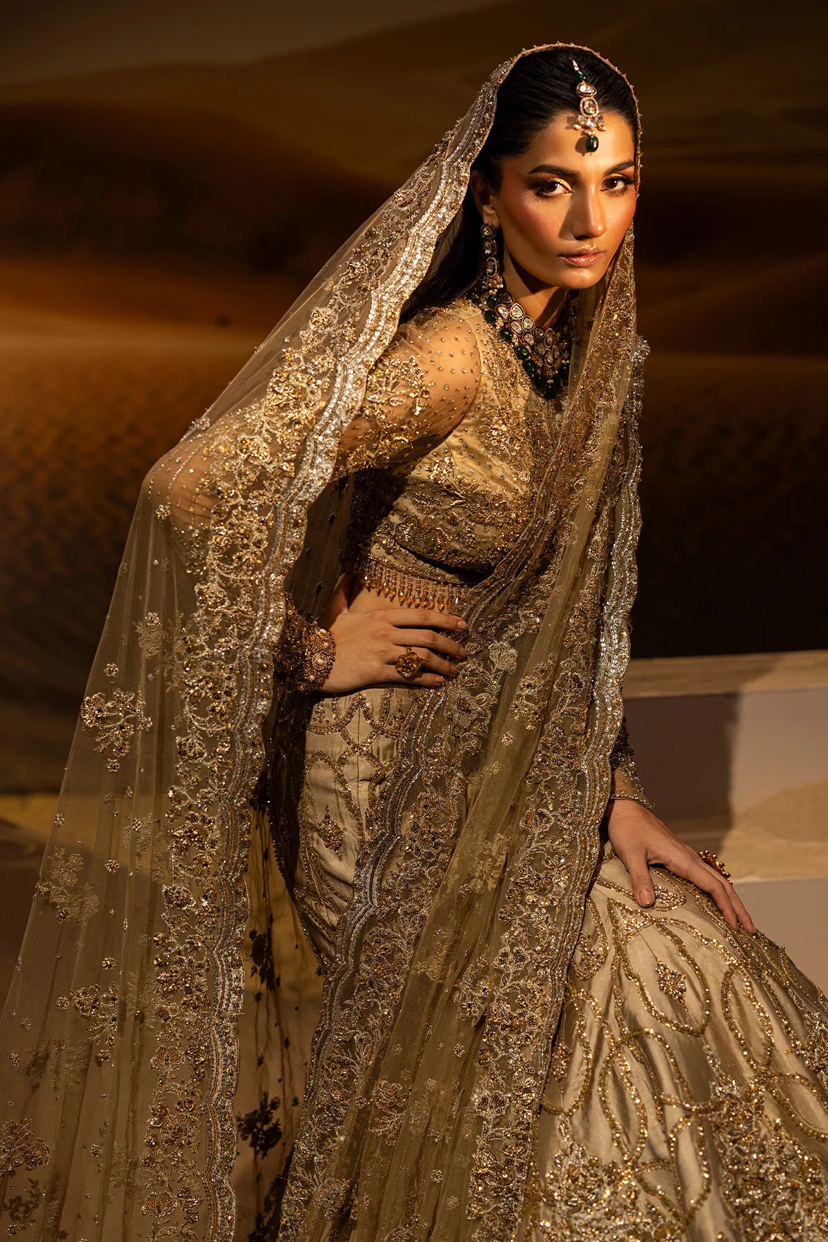 Mermaid Lehnga Choli