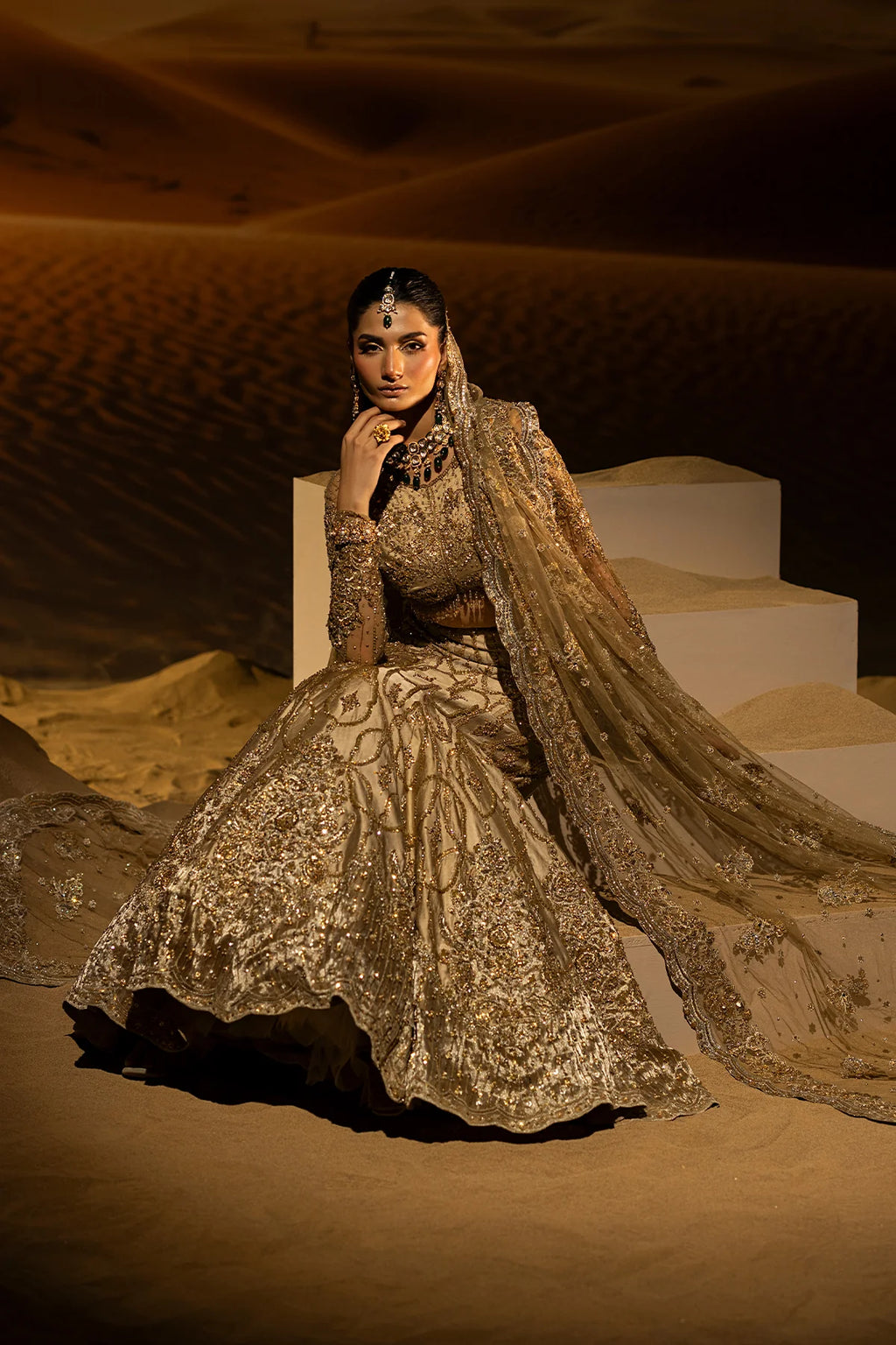 Mermaid Lehnga Choli