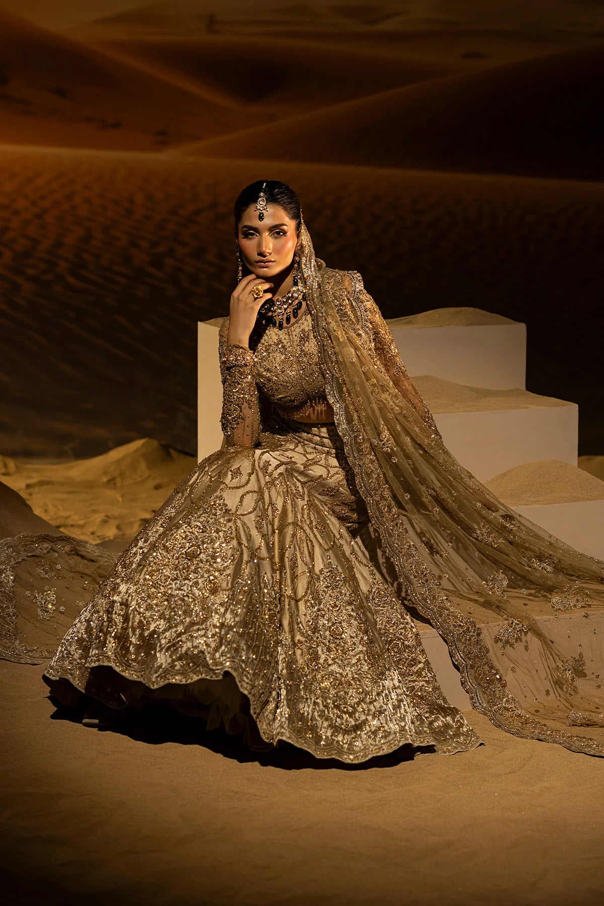 Mermaid Lehnga Choli