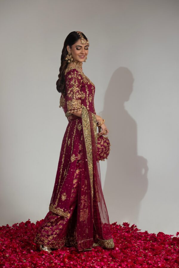 Noorain Magenta pink