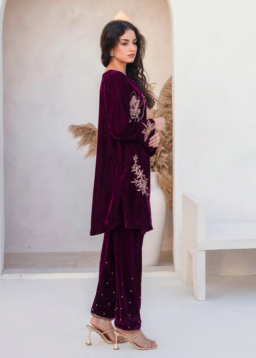 01251- Velvet Embroidered Suit