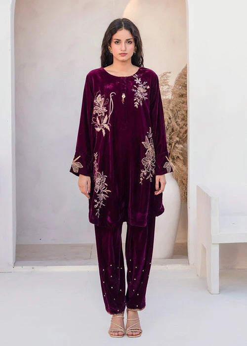01251- Velvet Embroidered Suit