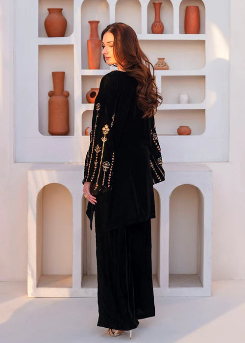 01254- Velvet Embroidered Suit