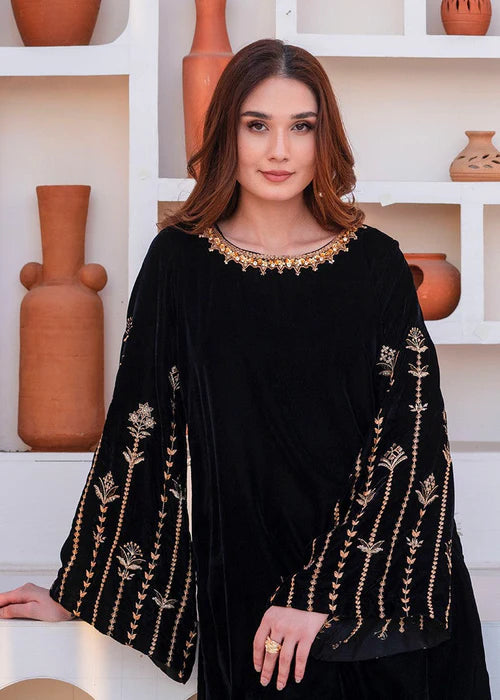 01254- Velvet Embroidered Suit